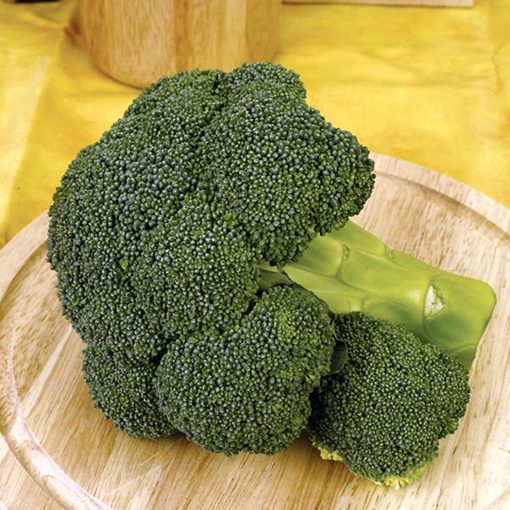 Ironman-f1 seminte broccoli Seminis
