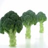 naxos-f1 broccoli seminte Sakata