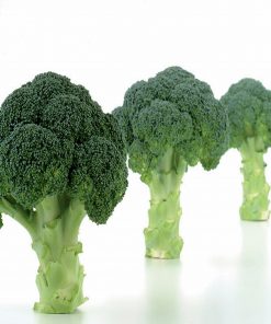 naxos-f1 broccoli seminte Sakata