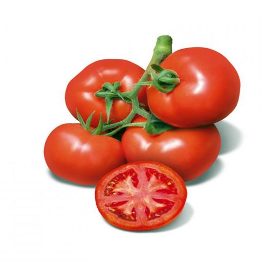 cherokee-f1 seminte tomate-nedeterminate Esasem