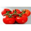 endeavour-f1 tomate nedeterminate Rijk-Zwaan