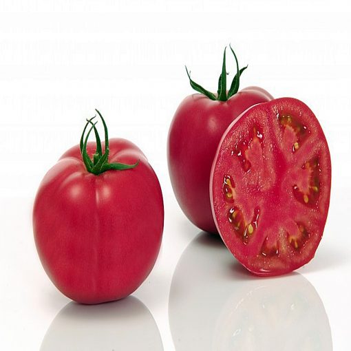 fuji-pink-f1 seminte tomate-nedeterminate Sakata
