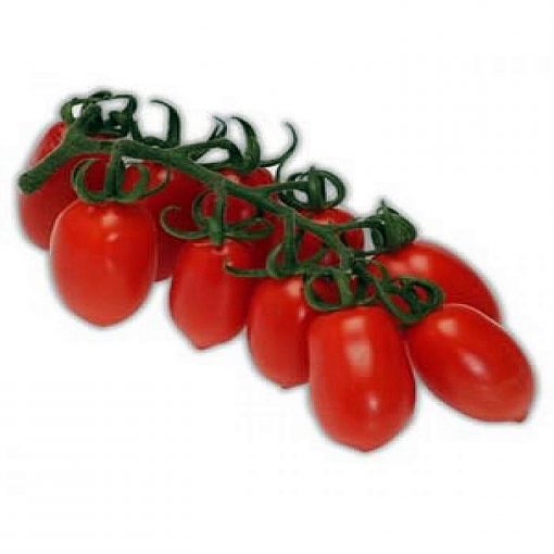 Lucinda-f1 seminte tomate-nedeterminate Hazera