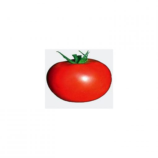 mobil tomate determinate Zki