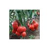 olga-f1 tomate determinate Vilmorin