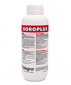 Depozitul de Seminte Boroplus