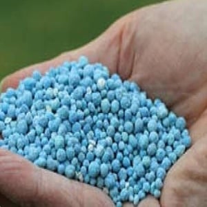 Ingrasaminte granulare NPK cu eliberare controlata