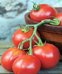 balkan-f1 tomate semideterminate Geosemselect