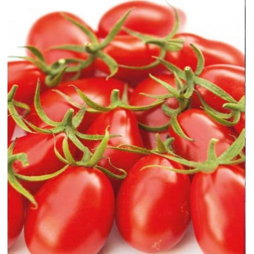 nicoleta-f1 tomate nedeterminate Yuksel