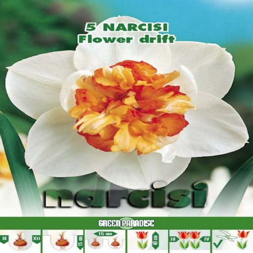 Narcise Flower Drift
