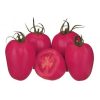 pink pioneer f1 tomate nedeterminate Sakata