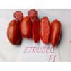 etrusco-f1 tomate nedeterminate Isi-Sementi