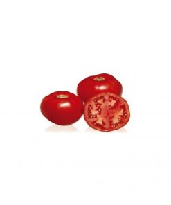 tomatina-f1 tomate determinate Sakata