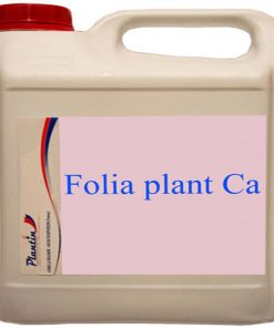 Foliaplant Ca