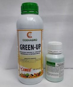 green-up
