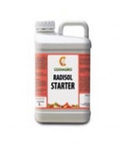 radisol starter