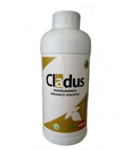 Cladus