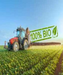Insecticide, fungicide si tratament samanta BIO