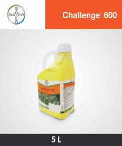 Challenge 600 SC
