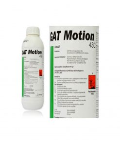 GAT Motion