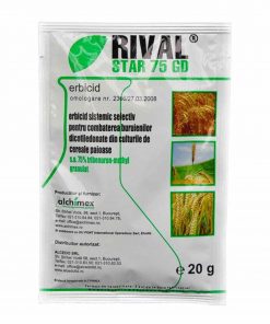 Rival Star 75 GD