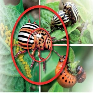 Combatere Biologica