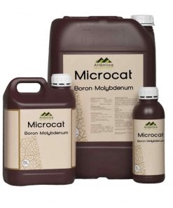 Microcat BOR – MOLIBDEN