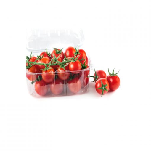 Cherye F1 tomate cherry nedeterminate syngenta