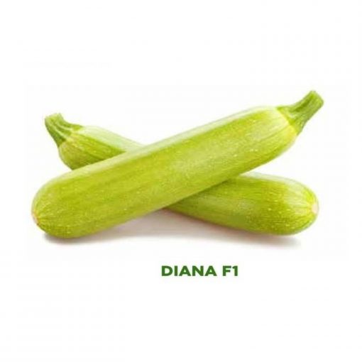 Diana F1