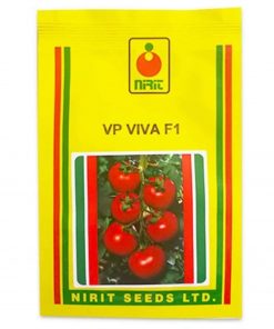 Depozitul de seminte. Viva F1 este un nou hibrid de tomate.